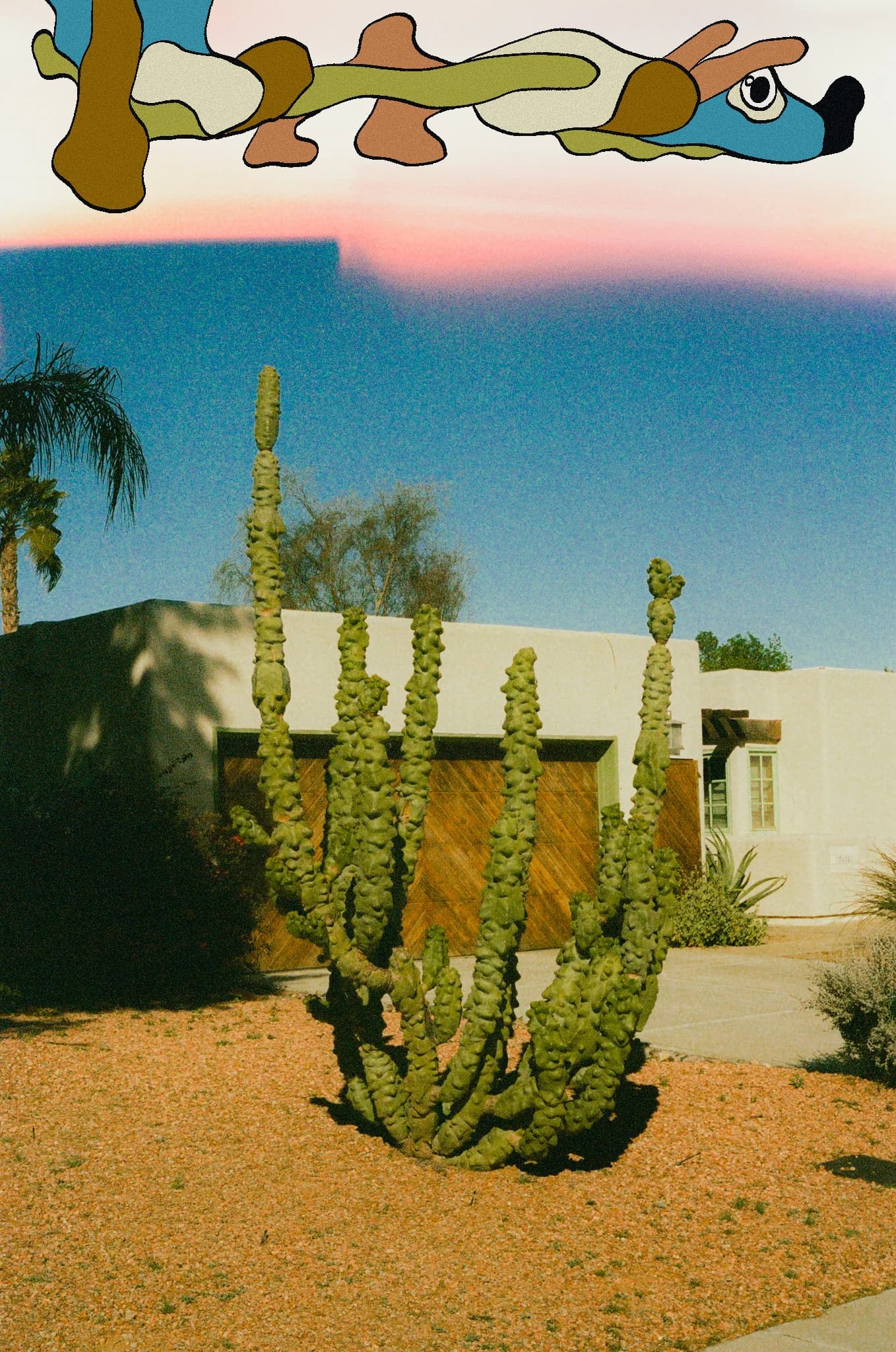Arizona Worm