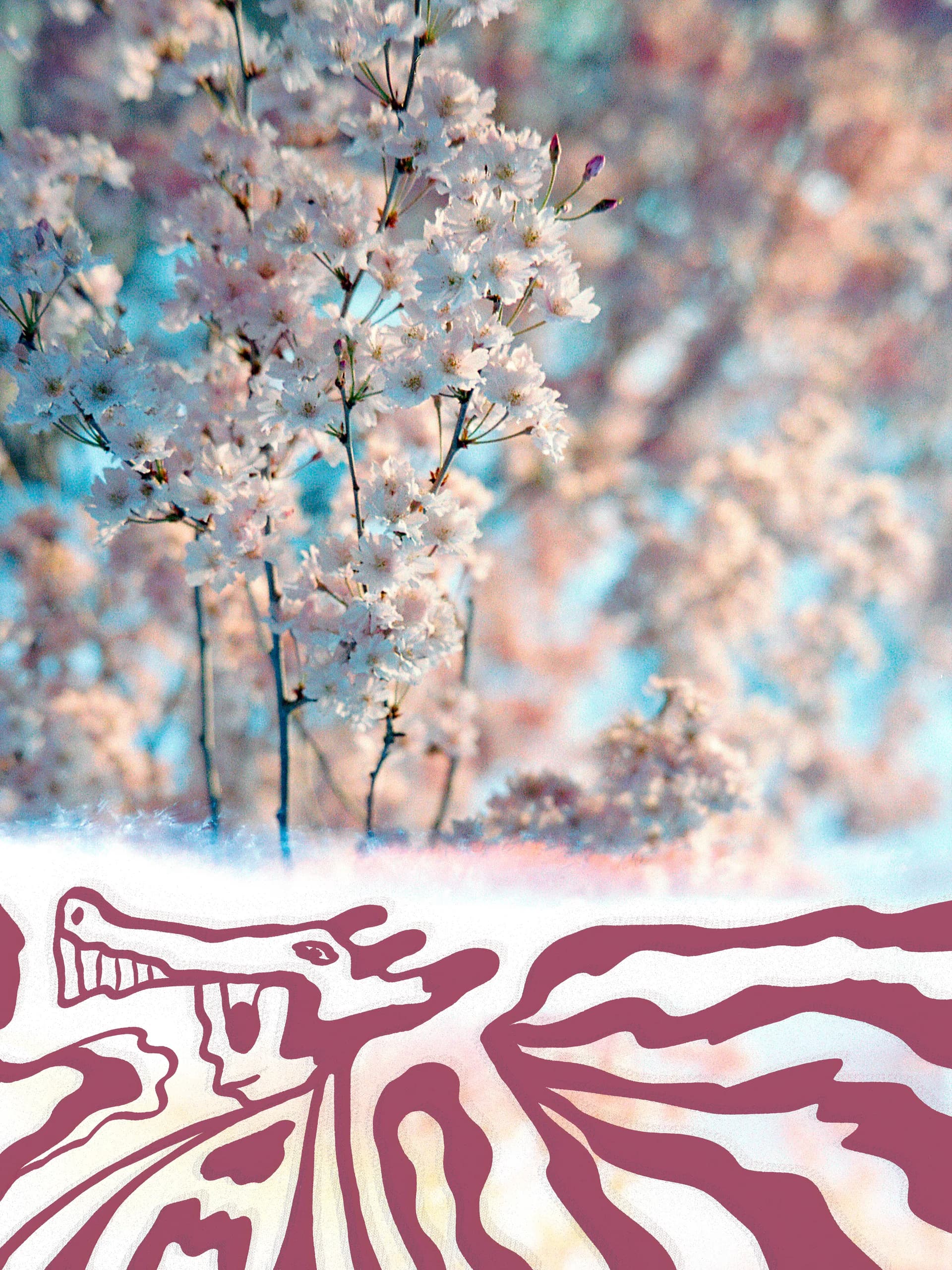 Blossom Knight