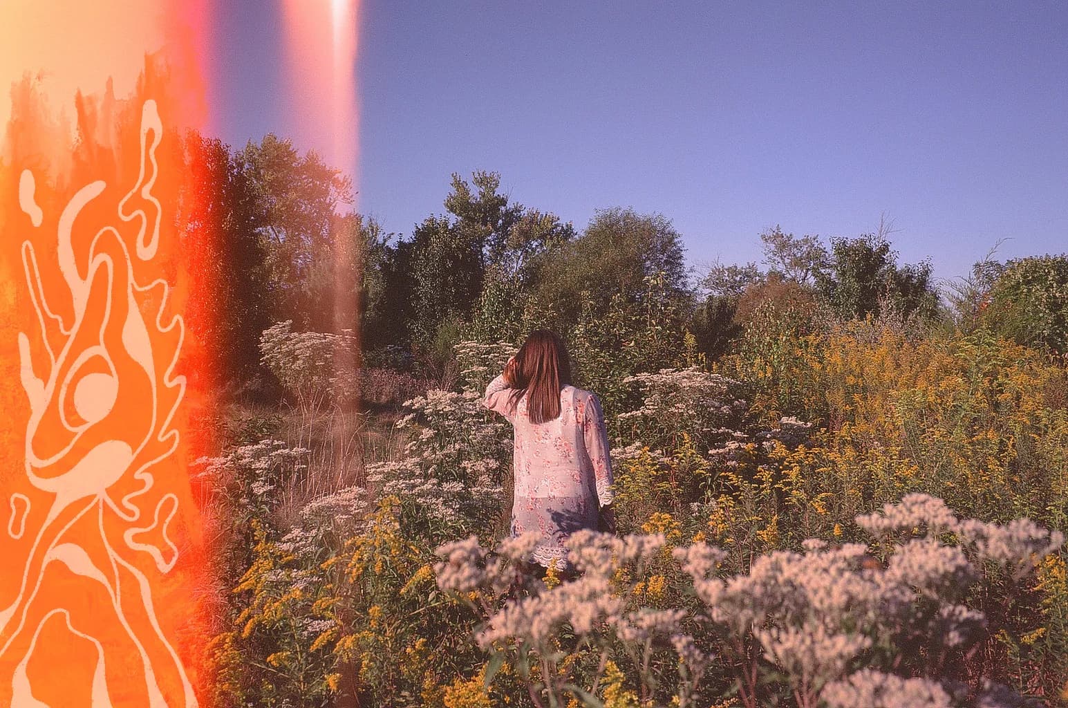 Flower Field