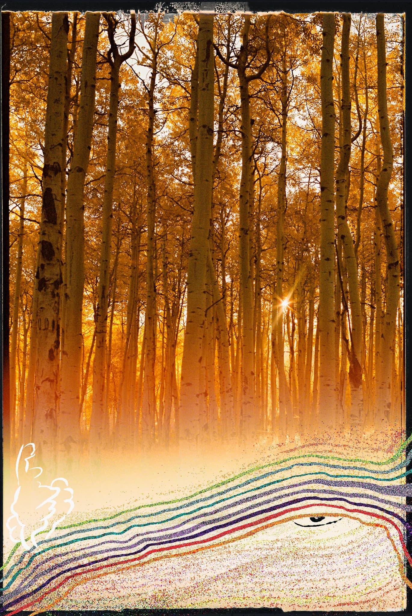 Forest Spirit