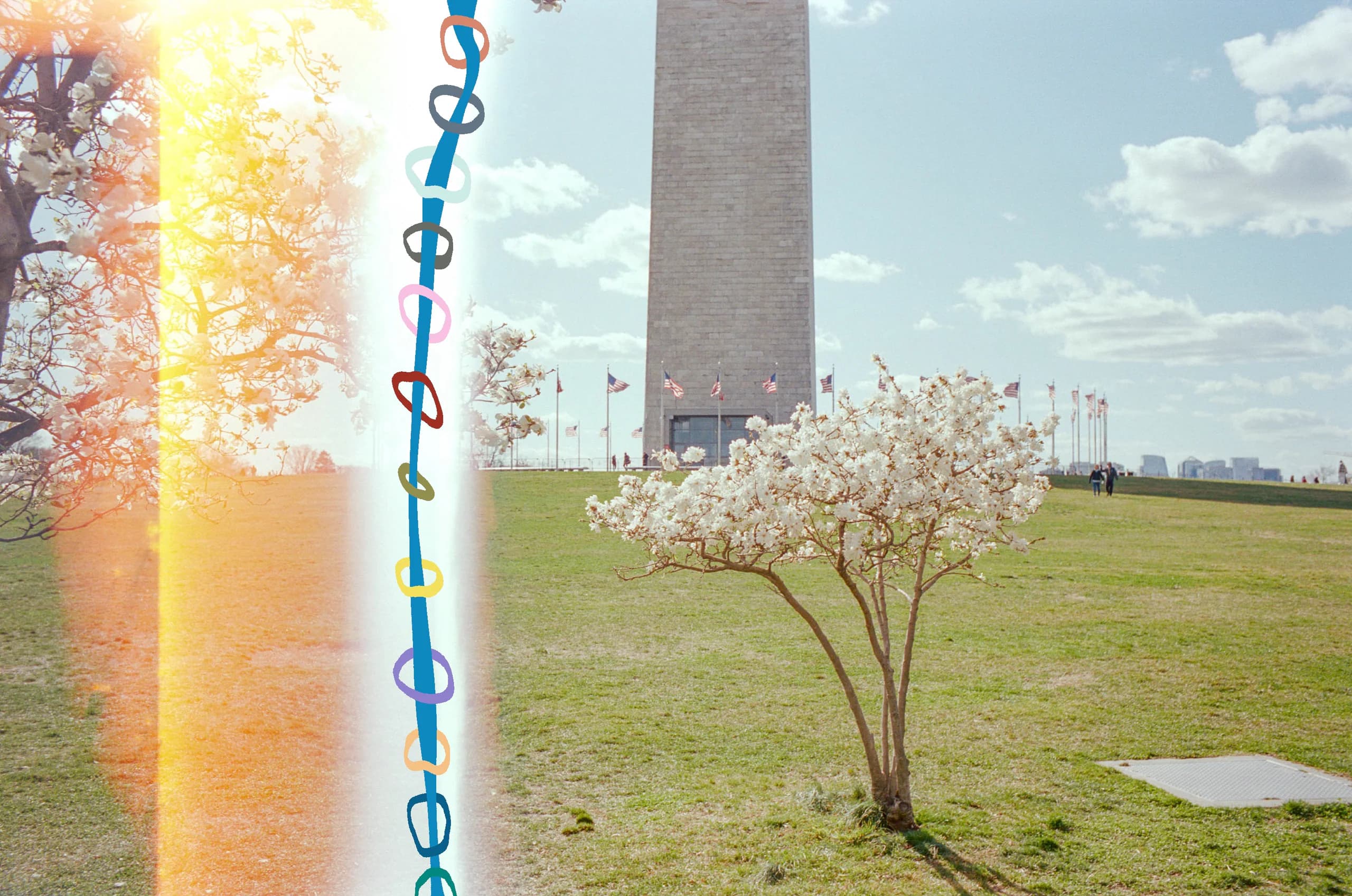 Power Rings