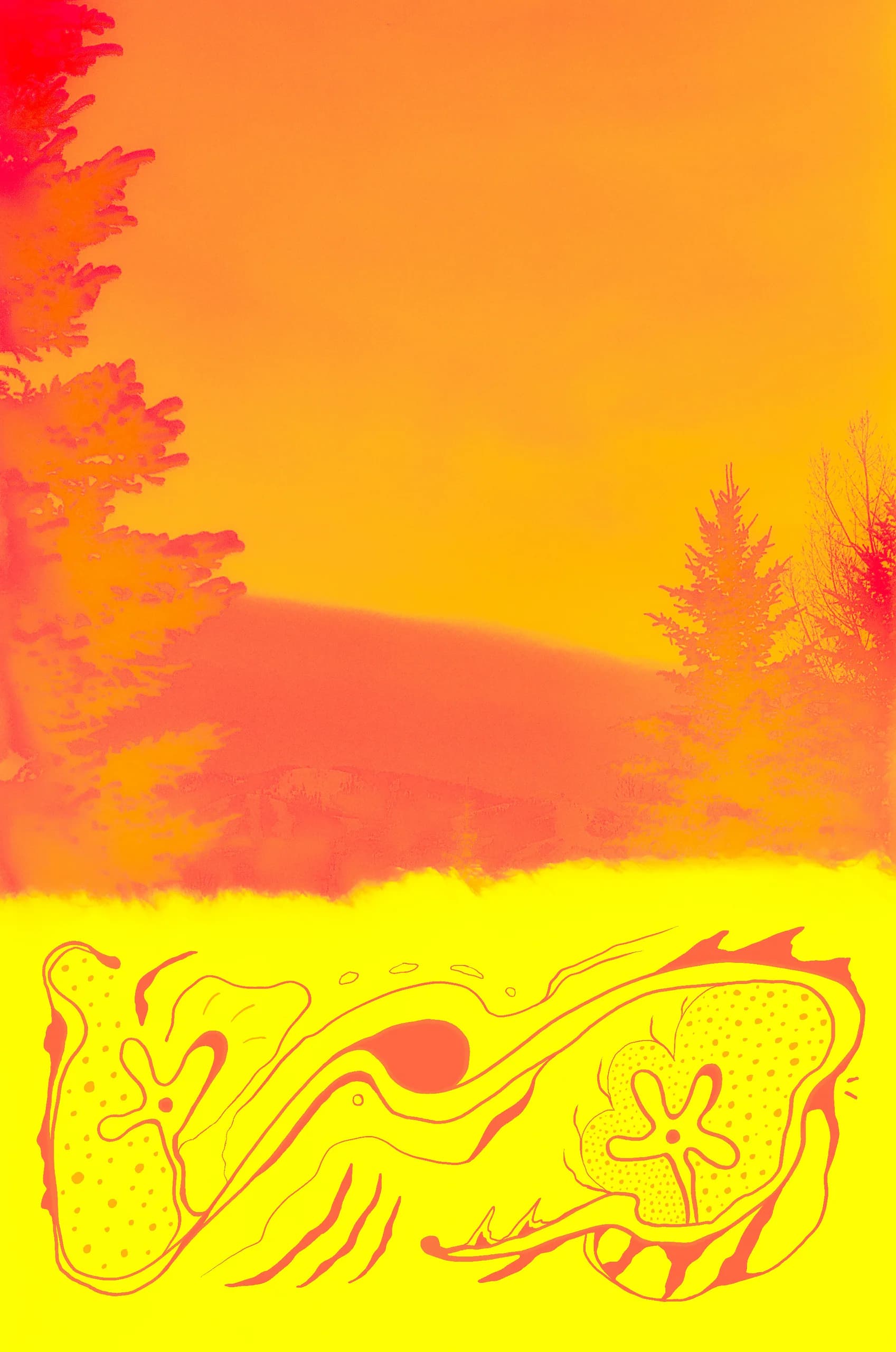 Solar Flare