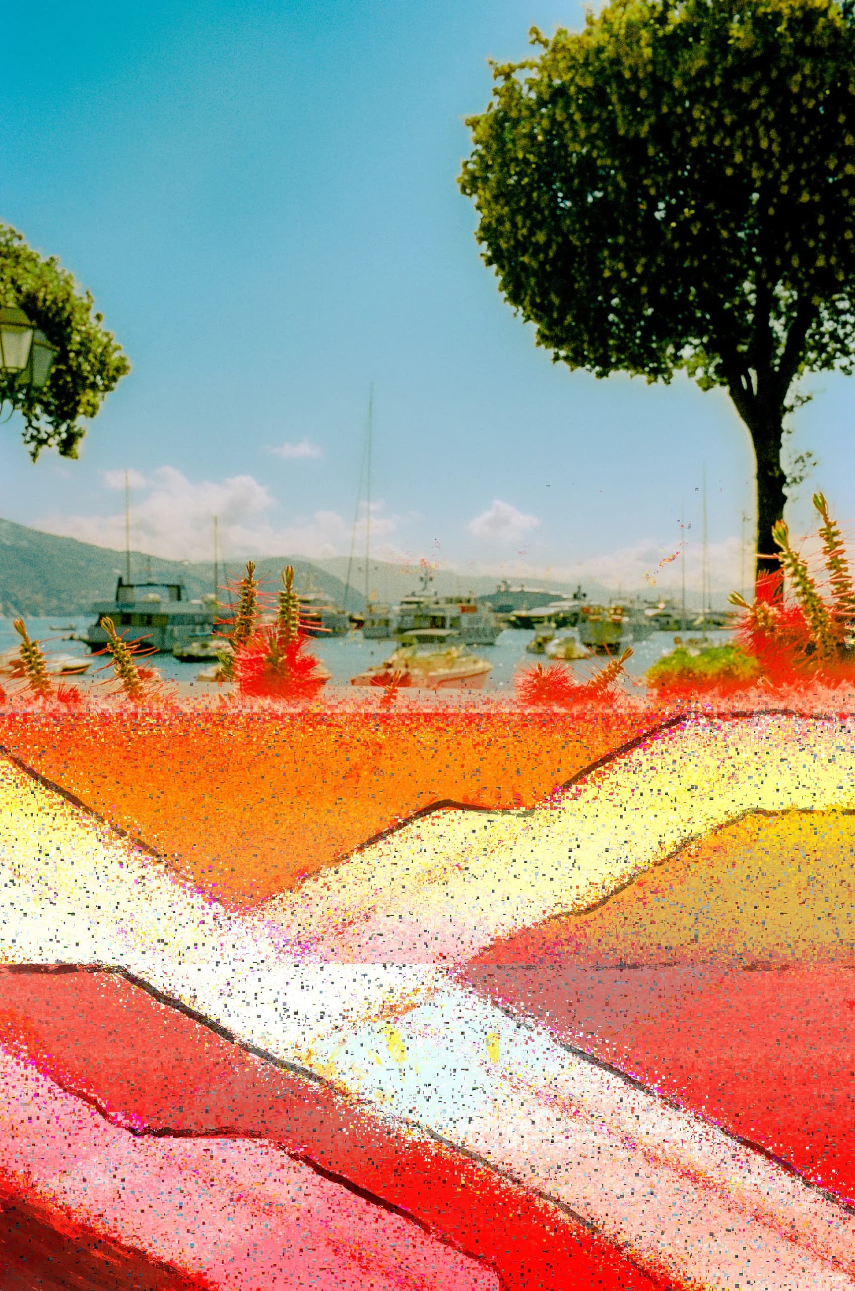 The Port