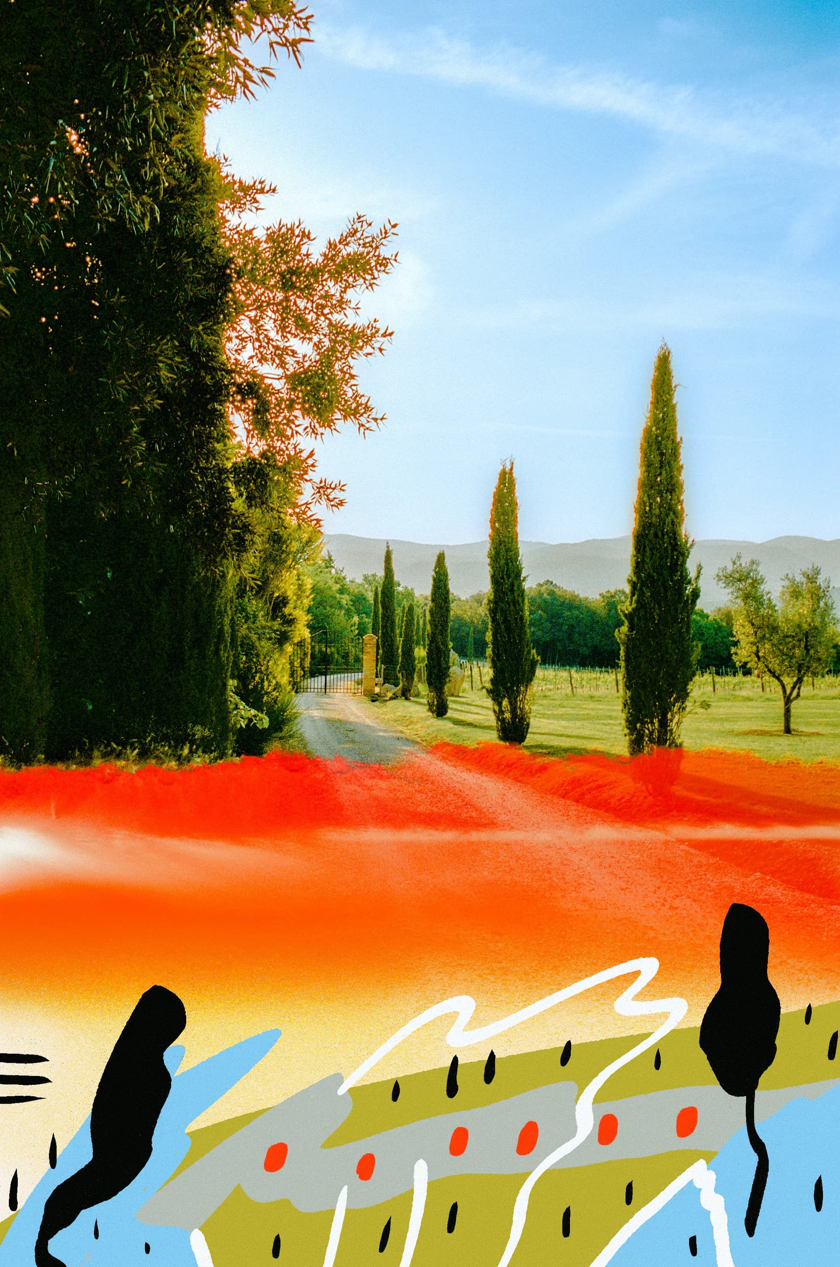 Vineyard